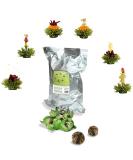 Creano Tea Flowers - 36 Bulk Green Tea Balls | Buy Blooming & Flowering Tea Online - Buy Online on GoSupps.com