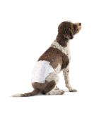 Amazon Basics Disposable Dog Diapers for Male Dogs - Large White 50-Pack - Best International Shipping Available - Buy Online on GoSupps.com