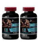 Buy Creatine Tri-Phase - 3X Formula for Muscle Enhancement | Pre & Post Workout Supplement | Monohydrate Powder & Pills - 180 Tabs - Buy Online on GoSupps.com