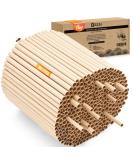 BEESI 300 x Cardboard Tubes For Insect Hotel 15 cm Long Diameter 6 and 8 mm Mixed Includes E-Book (English Language Not Guaranteed) Nesting Tubes and Nesting Sleeves For Wild Bees - Buy Online on GoSupps.com