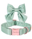 Unique Green Silk Dog Halter - Durable & Stylish Large Dog Harness for Weddings | XL Size - Buy Online on GoSupps.com