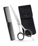 Fabcare Professional Hair Scissors Set - 5.5 Extra Sharp Hairdressing Scissors with Comb & Case - Precision Micro Toothing & Bonus eBook for Perfect Haircuts - Buy Online on GoSupps.com