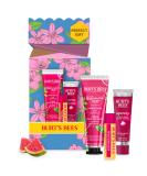 Burt's Bees gift set watermelon hand cream lip balm and tinted lip balm in the tube I love melons Limited Edition 1 piece (1 Pack) You're one in a melon - Buy Online on GoSupps.com