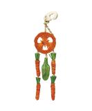 Rosewood Boredom Breaker Carrot Dream Catcher for Small Animals clear - Buy Online on GoSupps.com