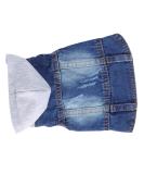 Party Clothing for Dogs & Cats | Costumes Coats Vests Denim & Summer Dresses | International Shipping Available - Buy Online on GoSupps.com