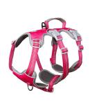 Buy Huntboo Dog Safety Dishes & Harness for Small Dogs - Reflective Waterproof Adjustable Vest in Rose Red - Buy Online on GoSupps.com