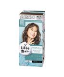 Kao Liese Prettia Bubble Hair Dye  New York Ash New York Ash 8 Ounce (Pack of 1) - Buy Online on GoSupps.com