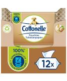 Cottonelle Moist Toilet Paper - Spa Experience with Cashmere & Shea Butter | Eco-Friendly Biodegradable Plastic-Free - 12x42 Wet Wipes Advantage Pack - Buy Online on GoSupps.com