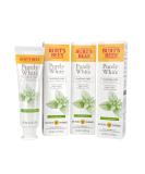 Burt's Bees Fluoride-Free Toothpaste 4.7 oz (Pack of 3) | Natural Flavor Purely White & Zen Peppermint - Buy Online on GoSupps.com