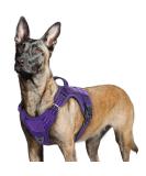 Rabbitgoo Tactical Dog Harness for Large Dogs - Adjustable Durable with Handles & Metal Buckles - Perfect for Hiking (L Purple) - Buy Online on GoSupps.com