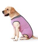 Heywean Dog Recovery Suit - Post-Op Wound Protection for Dogs - Professional Surgical Shirt - Pink (Size M) - Buy Online on GoSupps.com
