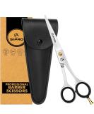 Asipro Professional Hair Scissors 6.5 | Sharp High-Quality Hair Cutting Scissors for Men Women & Pets - Includes Case - Buy Online on GoSupps.com