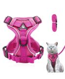 Adjustable cat dishes breakout cat dishes with a line set software for cat breasts for cats kitten dogs puppies (pink -m) ... m pink - Buy Online on GoSupps.com