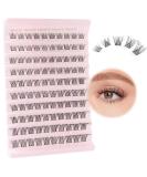 Poiuyoiu Cluster Lashes D Curl 8-16mm Mixed Length Individual Eyelashes - Wispy Natural Look - Reusable & Easy-to-Use - Beginners Friendly (W54) - Buy Online on GoSupps.com