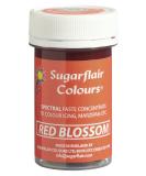 Sugarflair Red Blossom Spectral Food Colouring Paste - 25g | Vibrant Highly Concentrated Dye for Sugar Pastes, Buttercream, Royal Icing & Cake Mix - Buy Online on GoSupps.com