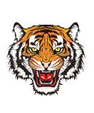 Dopetattoo 6 Sheets Temporary Tiger Fake Tattoos - Neck, Arm, Chest - Men, Women, Adults - Buy Online on GoSupps.com