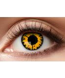 Buy Balinco Colored Contact Lenses - Mystery Orange/Black for Cosplay Halloween and Festivals - No Prescription Needed - Buy Online on GoSupps.com