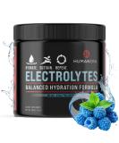 Buy Sugar-Free Hydration Electrolyte Powder - Blue Raspberry Vegan 30 Servings | Himalayan Sea Salt & Stevia Drink Mix - Buy Online on GoSupps.com