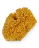 Urban Spa Full Body Sea Sponge - Exfoliating and Cleansing for Shower and Bath - Buy Online on GoSupps.com