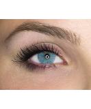 Contact lenses colored without thickness gray colored annual lenses soft lentils soft hydrogel 2 pieces color lens + lens container 0.0 diopttria natural colors series ocean icy gray (light gray) - Buy Online on GoSupps.com