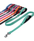 Vivaglory Traffic Handle Dog Leash - Padded Reflective & Strong Metal Hook - 1.2m x 2.5cm - Turquoise | International Shipping Available - Buy Online on GoSupps.com