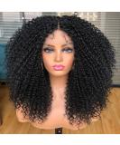 Annivia Curly Lace Front Wig - Pre Plucked Kinky Curly Afro Wig for Black Women - 17 Long HD T Part Synthetic Wig - Buy Online on GoSupps.com
