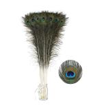 Soarer Long Peacock Feathers Bulk - 25pcs 32-35 inches for Vase, Holiday Decoration & DIY Crafts - Buy Online on GoSupps.com