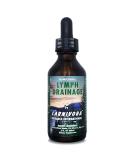 Carnivora Lymph Drainage Drops - Cleanse & Stimulate Lymphatic System, Boost Energy - 2 Fl Oz - Buy Online on GoSupps.com