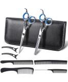 Professional 9-Part Hairdresser Scissors Set - 6.7in Effilator Scissors with Hair Clip Comb & Storage Bag for Beginners - Silver - Buy Online on GoSupps.com