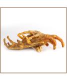 Premium Chicken Feet for Dogs 500g | 100% German Chicken | Grain-Free Kausnack - Pridedogs - Buy Online on GoSupps.com