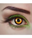 Aricona contact lenses daily lenses - black and yellow contact lenses colored - Wolf Eyes - Halloween contact lenses without strength for Halloween & costume parties - Buy Online on GoSupps.com