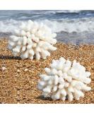Besimplle 2 pieces of artificial corals ornaments aquarium resin coral decor underwater sea plants aquarium decoration aquarium plant white/opulent garden - Buy Online on GoSupps.com