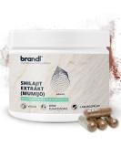 Buy brandl Shilajit Capsules - 500mg Extract with 50% Fulvic Acid & 10% Humic Acid - 120 Capsules of Original Mumijo Shilajit - Buy Online on GoSupps.com