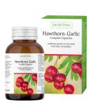 Jan de Vries Hawthorn-Garlic Complex | 90 Capsules - Buy Online on GoSupps.com