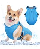 Kuoser Cool Vest for Dogs | Cooling Jacket & Coat for Outdoor Activities | Blue Size S - Keep Your Dog Comfortable! - Buy Online on GoSupps.com