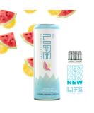 Equo Life Clean Energy Drink with Siberian Ginseng - Tropical Breeze 12 Fl Oz - Pack of 12 - Boost Your Energy & Vitality - International Shipping Available - Buy Online on GoSupps.com