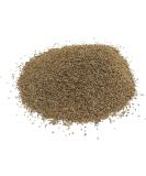 Celery Seeds 100g - Buy Online on GoSupps.com