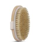 Dry Skin Body Brush - Natural Bristle for Exfoliation, Cellulite Treatment and Improved Skin Health - Stimulates Blood Circulation and Lymphatic Functions - Buy Online on GoSupps.com