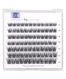 Buy LZM Lashes - 84 PCs Individual D Curl DIY False Eyelashes 8-14MM | Natural Cat Eye Look - Buy Online on GoSupps.com