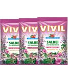 VIVIL Sage Sugar Free Cough Drops with 14 Herbs 3x120g (12.7 Oz) - Made in Germany - Buy Online on GoSupps.com