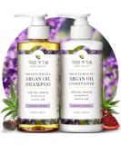 Tree To Tub Hydrating Sulfate Free Shampoo and Conditioner Set for Dry Hair  Dry Scalp  Frizz - Moisturizing Argan Oil Shampoo and Conditioner for Women & Men w/Organic Aloe Vera All Natural Lavender - Buy Online on GoSupps.com
