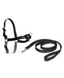 Buy PetSafe Easy Walk Dishes Train-Free Adjustable Dog Walking Solution with 1.8m Leash Small Black/Beige - Buy Online on GoSupps.com