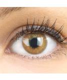 Shop Jasmine Brown Contact Lenses - Natural Look Silicone Comfort -4.50 Diopters | Glamlens with Container - International Shipping Available - Buy Online on GoSupps.com