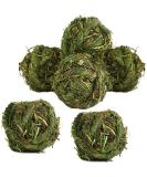 CAMITER 6pcs Rabbit Chew Ball Timothy Grass Grinding Small Animal Activity Play Chew Toys for Bunny Rabbits Hamster Guinea Pigs Gerbils - Buy Online on GoSupps.com