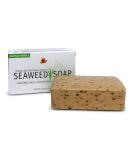 Reviva Original Formula Seaweed Soap 4.5 OZ - Naturally Cleanse & Deodorize Your Skin | Fresh Scented International Shipping - Buy Online on GoSupps.com