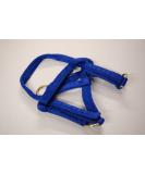 IV Horse Wee Pony Safety Turnout Headcollar Royal L - Buy Online on GoSupps.com