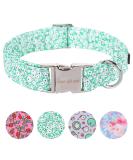 Unique Style Paws Summer Dog Collar | Green Linen & White Flower Design for Small Medium and Large Dogs | Perfect Gift for Your Furry Friend - Buy Online on GoSupps.com