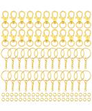 Selizo 120pcs Gold Keychain Hardware Set for Crafts - 60 Key Chain Hooks & 60 Rings for Keychains - Ideal for Acrylic Blanks and Resin Craft Projects - Buy Online on GoSupps.com