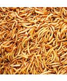 UK GROW 5L Premium Dried Mealworms - High-Quality 5 Litre Pack - Buy Online on GoSupps.com