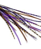 Real Feather Hair Extensions - Auburn Purple (Set of 10) - Buy Online on GoSupps.com